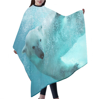 Personality  Polar Bear Underwater Attack Hair Cutting Cape