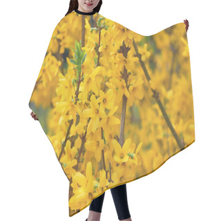 Personality  Yellow Forsythia Flowers  Hair Cutting Cape