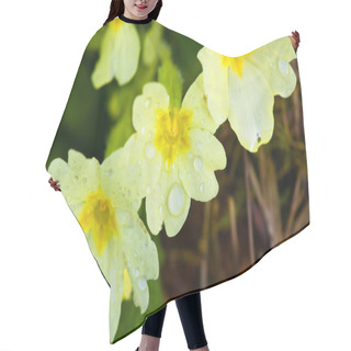 Personality  Wild Primroses Hair Cutting Cape