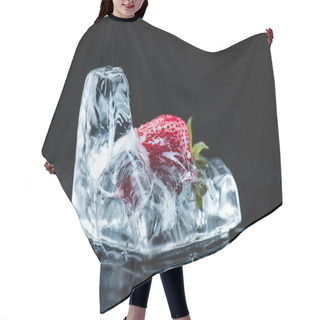 Personality  Strawberry Frozen In Ice Cube Hair Cutting Cape