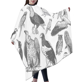 Personality  Birds Of Wildlife Set. Eagles, Owls, Parrots, Pelican, Penguins, Ibis, Puffin Isolated On White Background. Tropical, Exotic, Water Birds. Black White Illustration. Vector. Vintage. Realistic Graphics Hair Cutting Cape