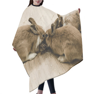 Personality  Cute And Fluffy Rabbits Sitting Near Hay  Hair Cutting Cape
