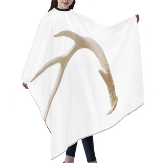 Personality  Shed Antler Hair Cutting Cape