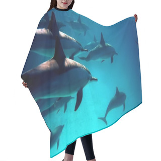 Personality  Diving With Dolphins Hair Cutting Cape