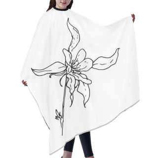 Personality  Vector Flower Of Aquilegia. A Simple Columbine Wildflower Drawn In Sketch Style, Side View, Isolated By A Black Line On A White Background For The Design Template Of Invitations, Packaging, Labels Of Signage. Beautiful Aquilegia Flower Sketch, Great  Hair Cutting Cape