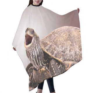 Personality  Turtle With Open Mouth Hair Cutting Cape