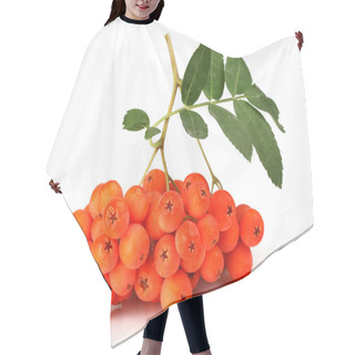 Personality  Ashberry With Leaves Hair Cutting Cape