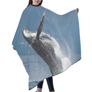 Personality  Whale Jumping In The Air Hair Cutting Cape