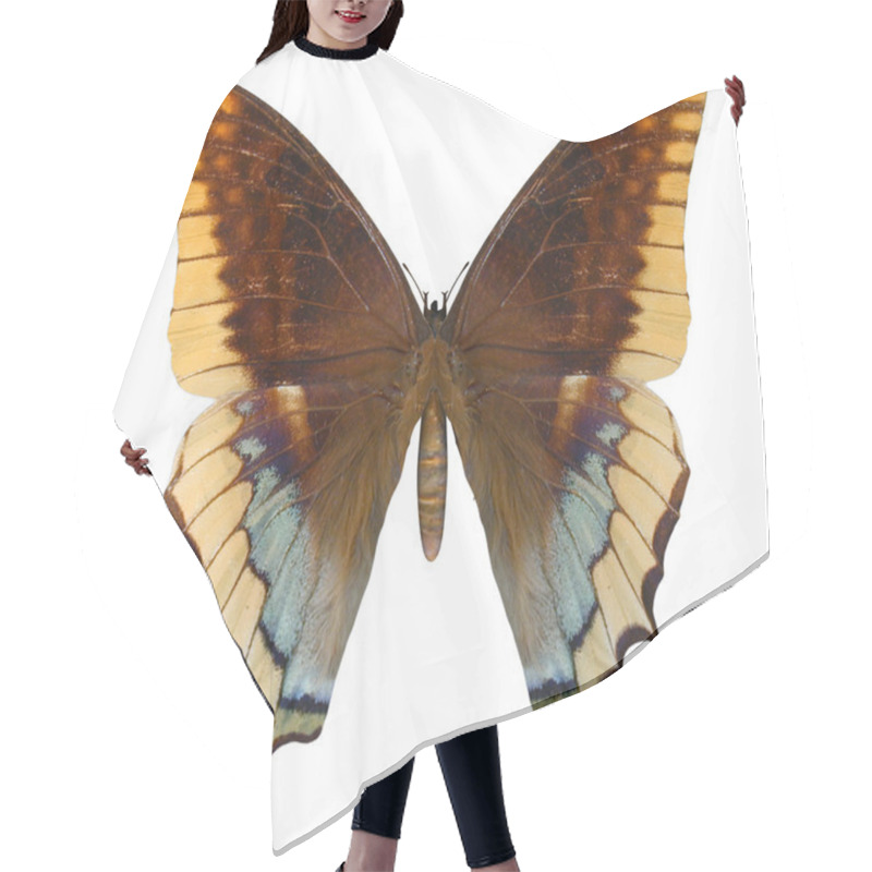 Personality  Two-tailed Pasha Hair Cutting Cape