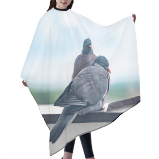 Personality  Adorable Two Pigeons Cuddling On Windowsill Hair Cutting Cape