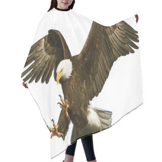 Personality  Bald Eagle Swoop Attack Hand Draw On White. Hair Cutting Cape