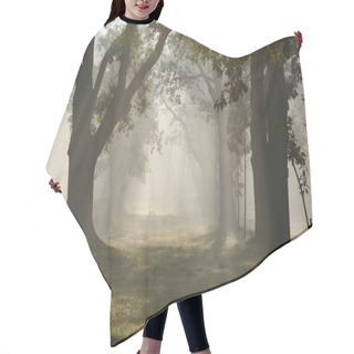 Personality  Rays Of Light In Misty Forest Hair Cutting Cape
