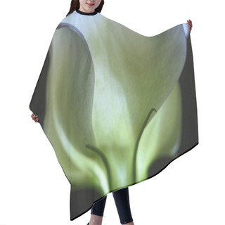 Personality  Beautiful Calla Lily Flower Isolated On Black  Hair Cutting Cape