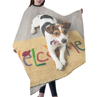 Personality  Cute Dog Posing On The Carpet Hair Cutting Cape