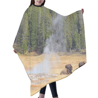 Personality  Bisons In Yellowstone Park Hair Cutting Cape