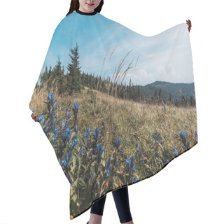 Personality  Blue Wildflowers In Field Near Green Trees Against Sky Hair Cutting Cape