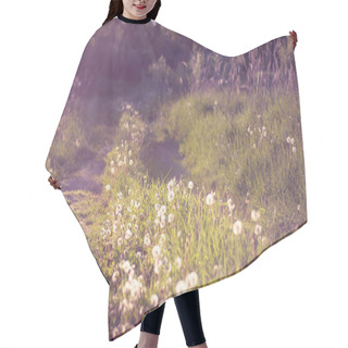 Personality  Densely Overgrown With Wild Grass And Dandelions Rural Road In The Light Of The Setting Sun. A Calm Warm Summer Evening.  Blur Hair Cutting Cape