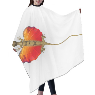 Personality  Flying Lizard, Animal Hair Cutting Cape