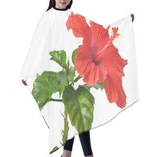 Personality  China Rose Hair Cutting Cape
