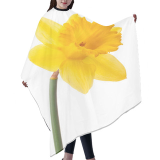 Personality  Daffodil Flower Or Narcissus Hair Cutting Cape