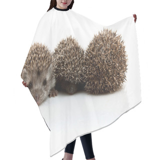 Personality  Three Little Hedgehogs Hair Cutting Cape