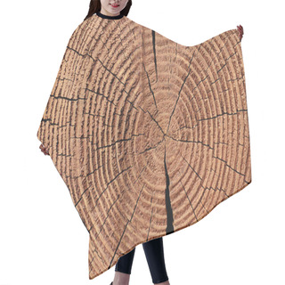 Personality  Full Frame Of Wooden Stump Texture As Backdrop Hair Cutting Cape