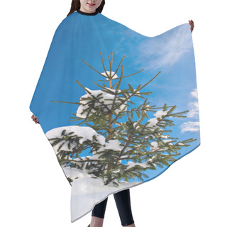 Personality  Pinetree With Snow Hair Cutting Cape