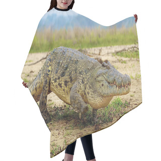 Personality  Crocodile Walks Hair Cutting Cape