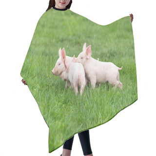 Personality  Piglets Hair Cutting Cape