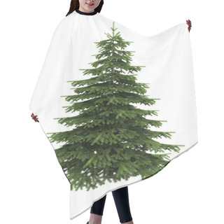 Personality  Spruce Tree Isolated On White Hair Cutting Cape