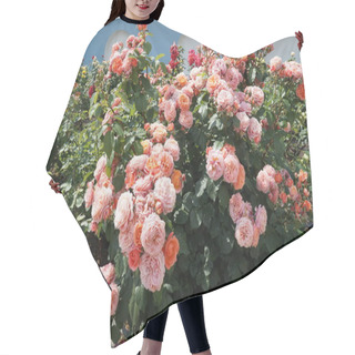 Personality  Blooming Beautiful Bright Full Roses Hair Cutting Cape