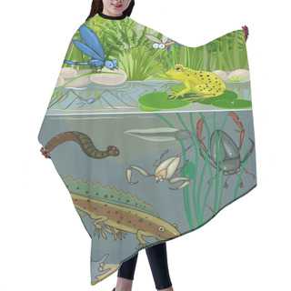 Personality  At The Pond Hair Cutting Cape