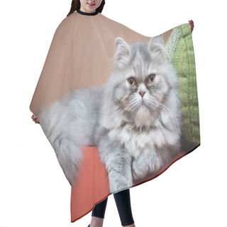 Personality  Persian Cat On The Couch Hair Cutting Cape