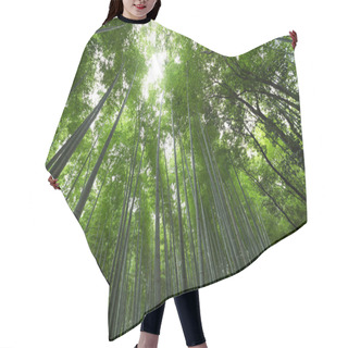 Personality  Arashiyama Bamboo Groves  Hair Cutting Cape