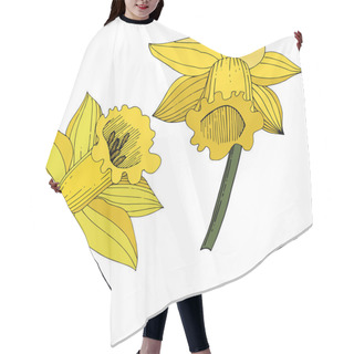Personality  Vector Narcissus Flowers. Yellow Engraved Ink Art. Isolated Daffodils Illustration Element On White Background. Hair Cutting Cape