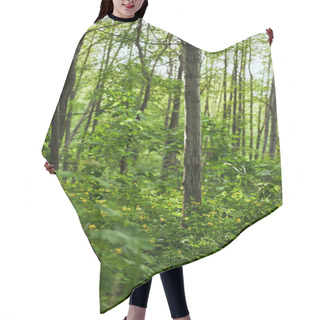 Personality  Green Leaves On Plants And Trees In Summer Forest Hair Cutting Cape