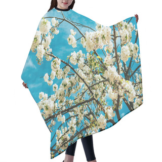 Personality  Blossom Hair Cutting Cape