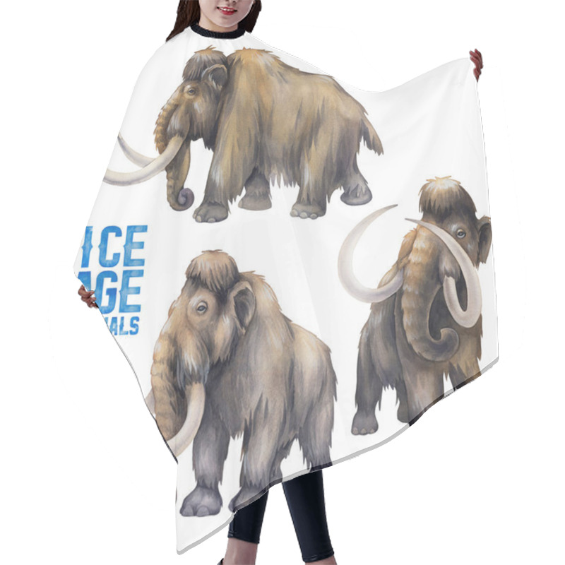 Personality  Watercolor Collection Of Mammoths Isolated On White Background. Hair Cutting Cape