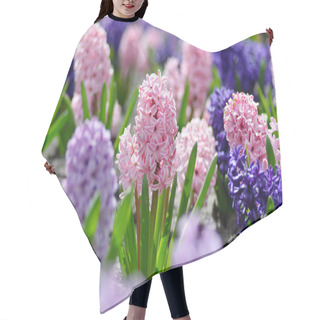 Personality  Large Flower Bed With Colorful Hyacinths, Traditional Easter Spr Hair Cutting Cape