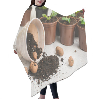 Personality  Table With Flower Pots, Potting Soil And Plants Hair Cutting Cape
