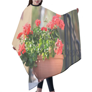 Personality  Flowers On Staircase  Of House Hair Cutting Cape