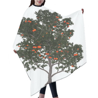 Personality  Pomegranate Tree - 3D Render Hair Cutting Cape