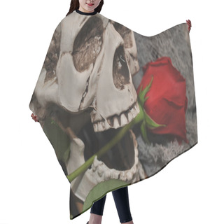 Personality  Skull With Long Stemmed Rose Hair Cutting Cape