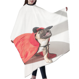 Personality  Dog In Superhero Costume Hair Cutting Cape