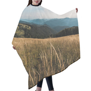 Personality  Selective Focus Of Barley In Meadow Against Sky With Clouds Hair Cutting Cape