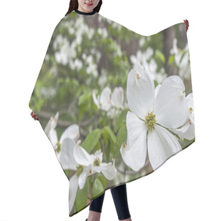 Personality  Dogwood Tree In Spring Hair Cutting Cape