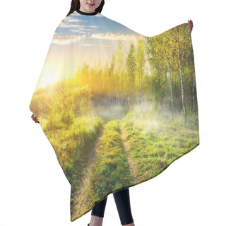 Personality  Fog In Birch Grove Hair Cutting Cape