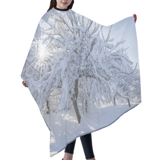 Personality  Winter Garden  Hair Cutting Cape