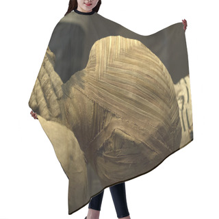 Personality  Egyptian Mummy Close Up Detail Hair Cutting Cape