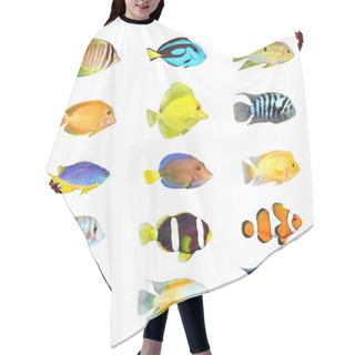 Personality  Tropical Fish. Hair Cutting Cape